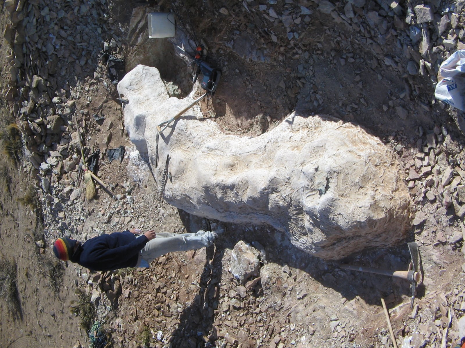 Los huesos tienen una antigüedad estimada de 155 a 160 millones de años, correspondiendo al Jurásico Superior (MEF Chubut)