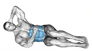 Ilustración digital de la anatomía muscular de un hombre acostado de lado, con los músculos abdominales destacados en azul sobre un fondo blanco.