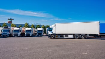 Los despachantes intervienen en cada proceso de importación y exportación, desde la preparación de la documentación hasta la gestión de los trámites ante la autoridad aduanera (Foto: Shutterstock)