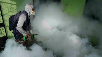 Más de 7 mil casos de dengue, autoridades hondureñas llaman a la prevención