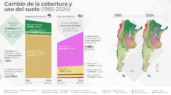 Infografía con título, texto, gráficos de barras apiladas, dos mapas de Argentina y una leyenda de colores que compara el uso del suelo entre 1985 y 2024.