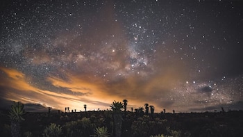 Cómo llegar y qué hacer en el Páramo del Sol, el ascenso más extremo de Antioquia: conquistar su cima tarda de dos a tres días