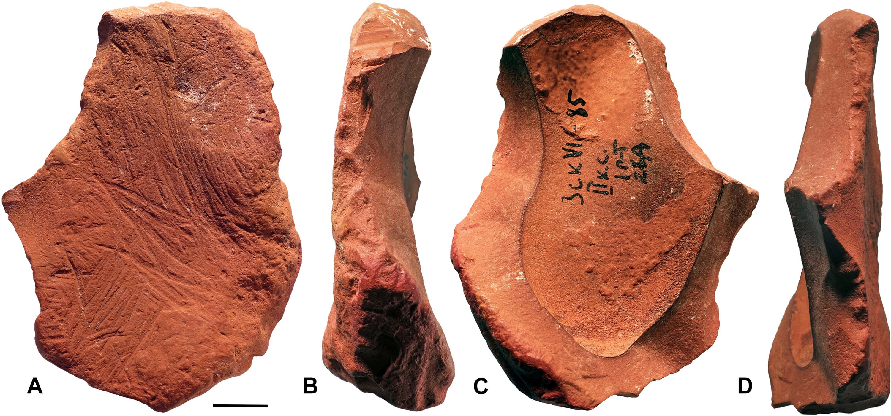 Un estudio en Science Advances demuestra que los neandertales usaban ocre para actividades simbólicas y no solo utilitarias - (D'Errico et al. 2025, Science Advances)