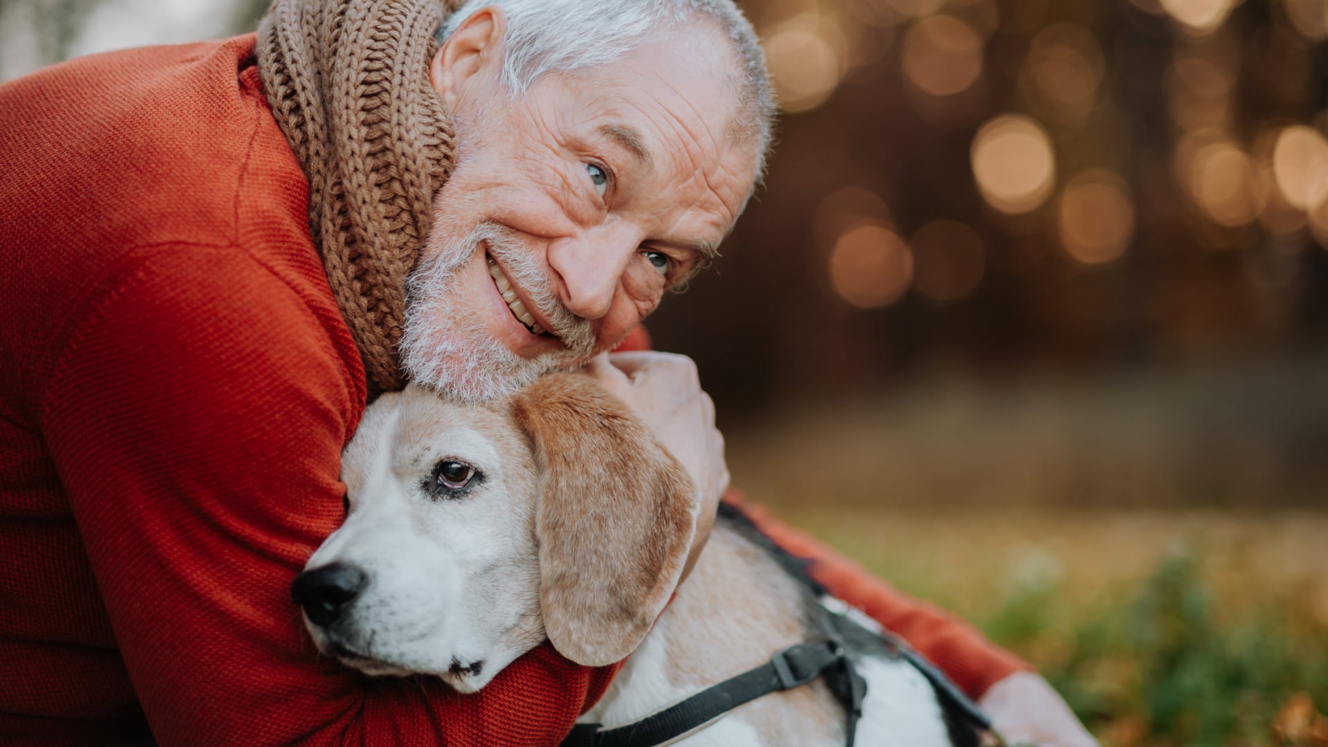 El dolor puede alterar la rutina, la disposición al juego y la personalidad del perro, influyendo también en su reacción a estímulos (Canva)