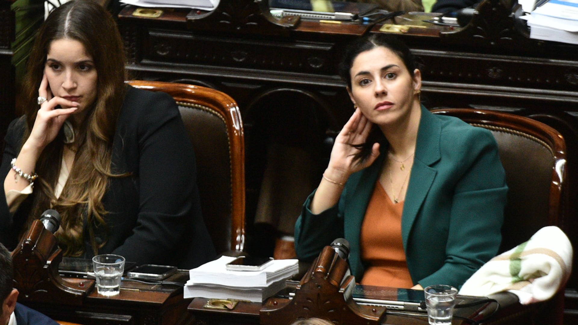 La diputada Marcela Pagano (Adrián Escándar)