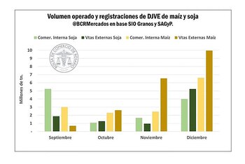 El gráfico de un informe