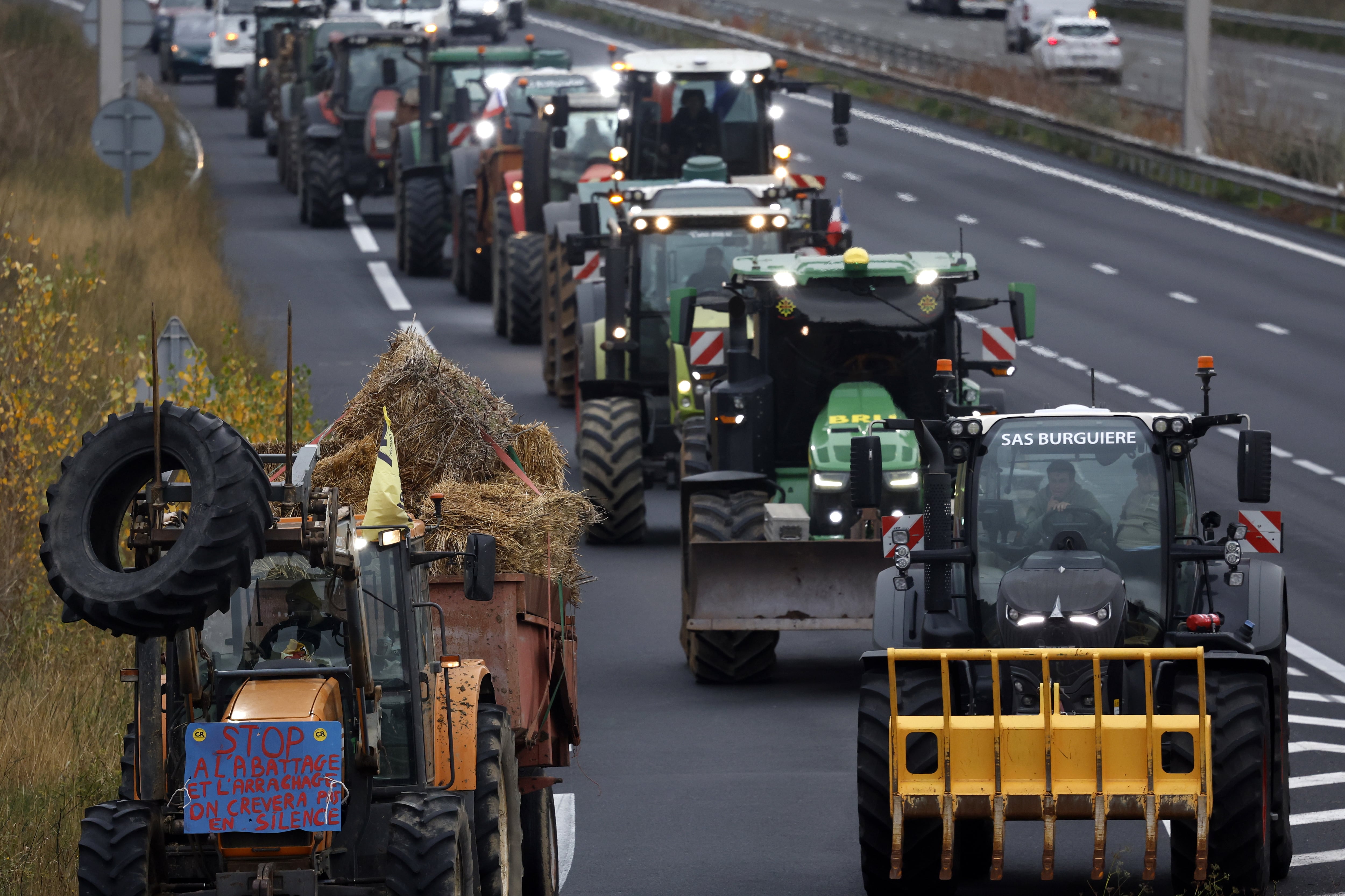 Protesta de agricultores y ganaderos con tractores en la autopista A9, en Beziers, para protestar contra el sacrificio de rebaños enteros, en medio de la creciente preocupación por los brotes de dermatosis nodular contagiosa en Francia. EFE/EPA/GUILLAUME HORCAJUELO