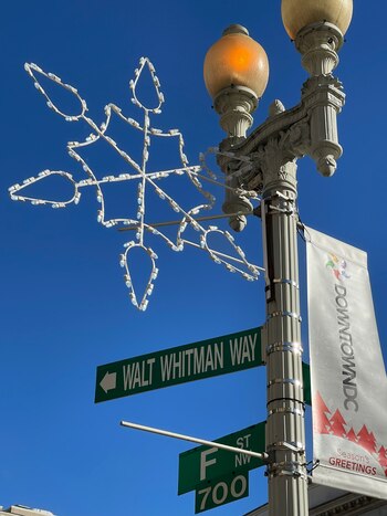 Walt Whitman vivió en Washington