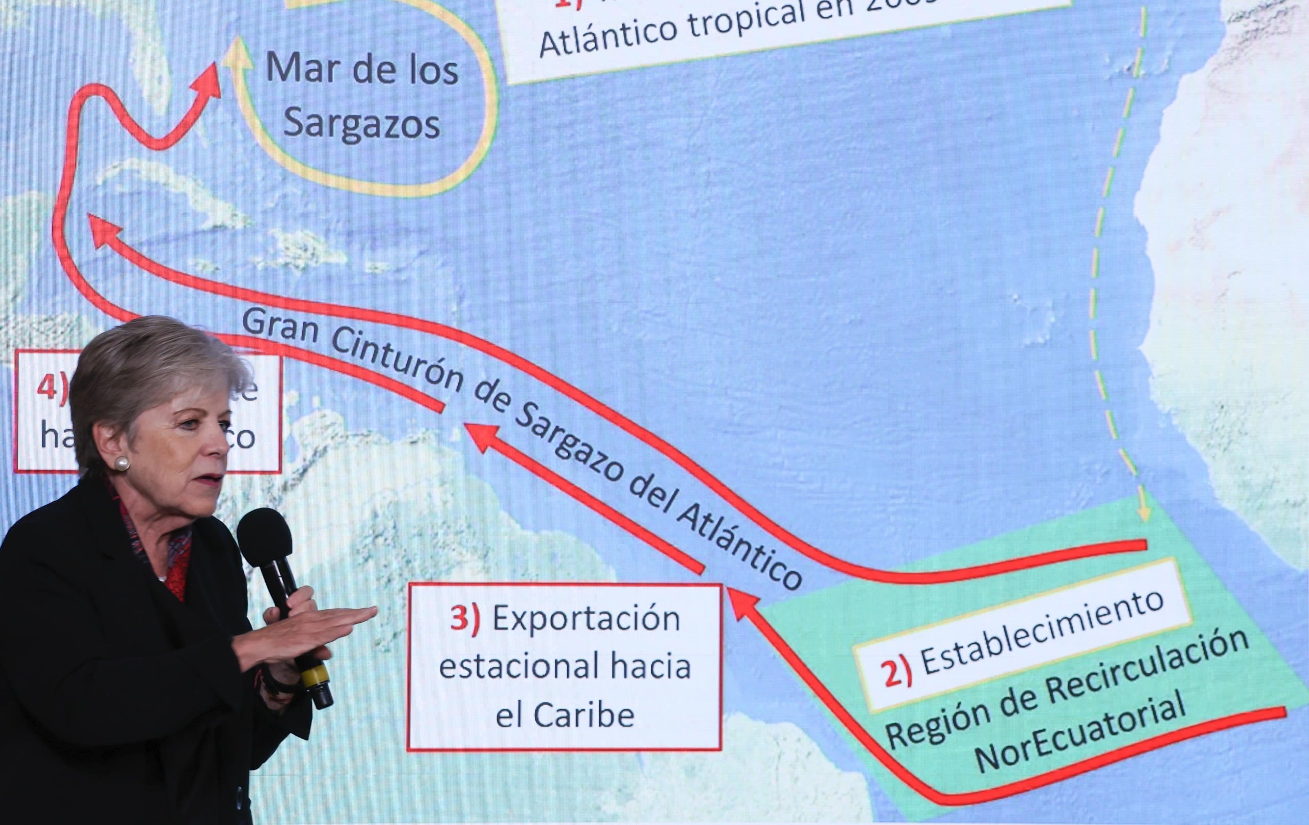 La secretaria de Medio Ambiente, Alicia Bárcena, explicó que el arribo masivo de sargazo a las costas mexicanas tiene su origen en un cambio en la circulación oceánica registrado desde 2011.