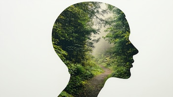 Los dispositivos nuevos, más eficientes,