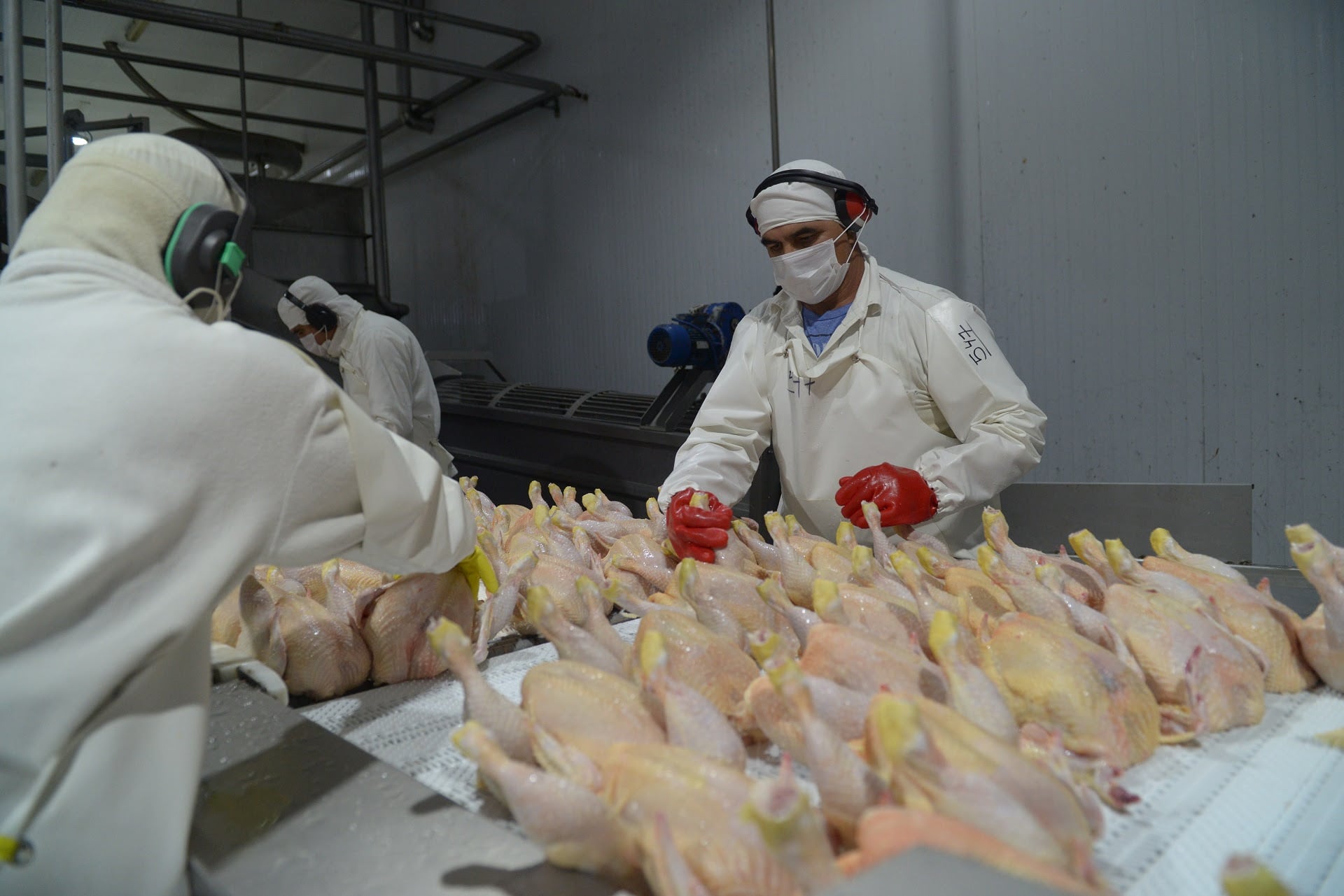 Las exportaciones de carne aviar a la Unión Europea alcanzaron más de USD 14 millones en 2025