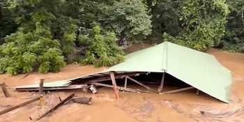 Estructura con techo verde colapsado sobre agua lodosa y madera. El fondo muestra vegetación densa y árboles verdes