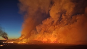 Un incendio forestal al sur