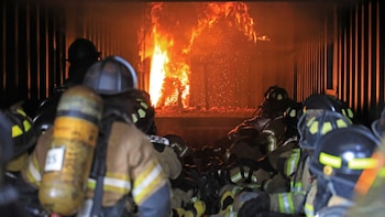 Esta es la cifra que