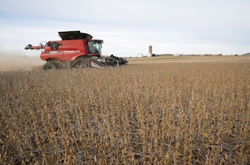 Es una mala noticia que