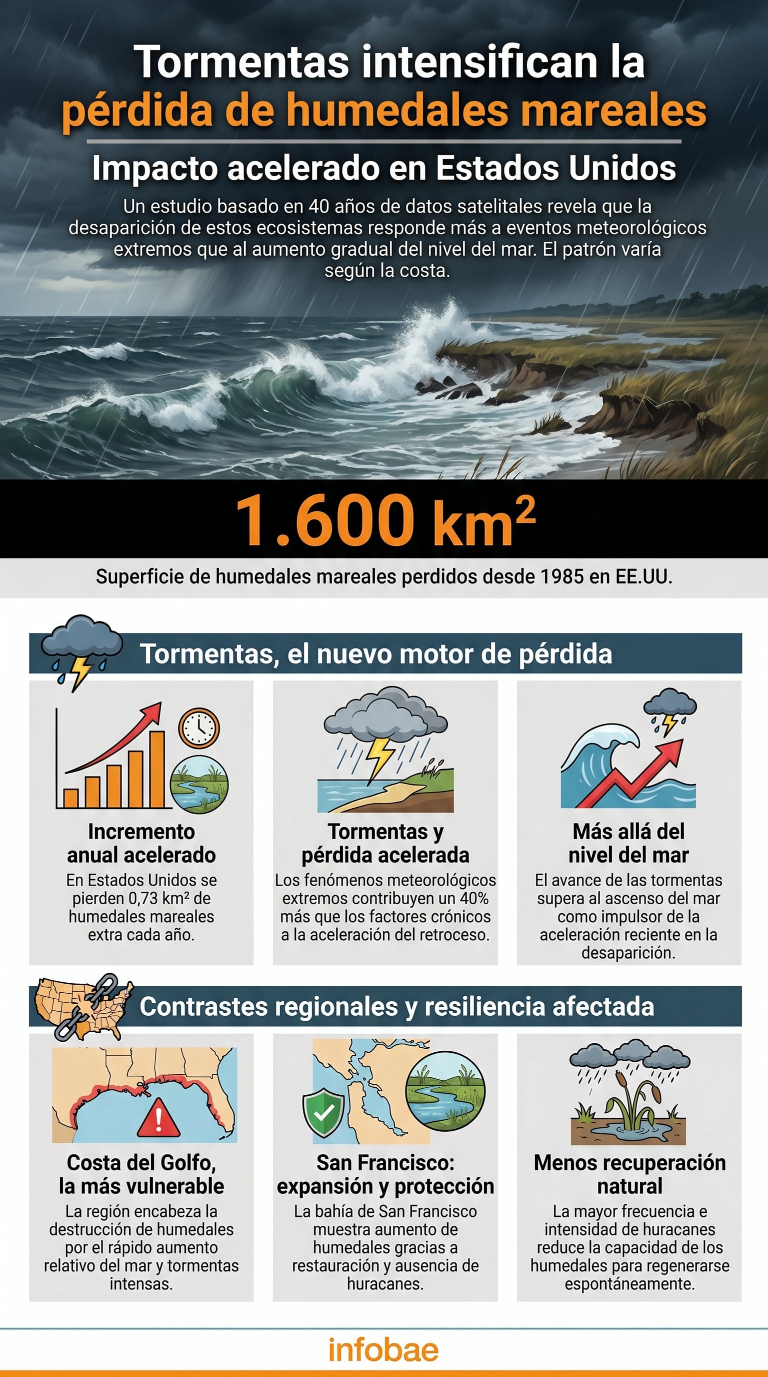 Esta infografía detalla cómo eventos meteorológicos extremos, más que el aumento del nivel del mar, aceleran la pérdida de 1.600 km² de humedales mareales en Estados Unidos desde 1985, según un estudio (Imagen Ilustrativa Infobae)