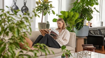 PLANTAS EN CASA DECO
