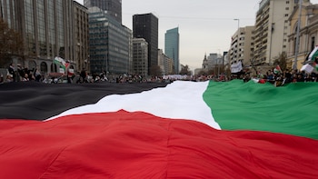 Solidaridad con Palestina a través