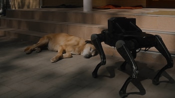 Imagen de "Open World" (2025),