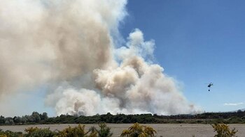 Incendios forestales en Chile