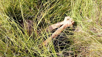 El 11.º día, la niña