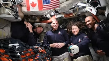 Orión ofrece un 57% más de espacio habitable que las cápsulas Apolo y mejoró el confort de la tripulación en el trayecto (NASA)