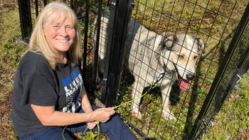 Barley escapó y fue visto