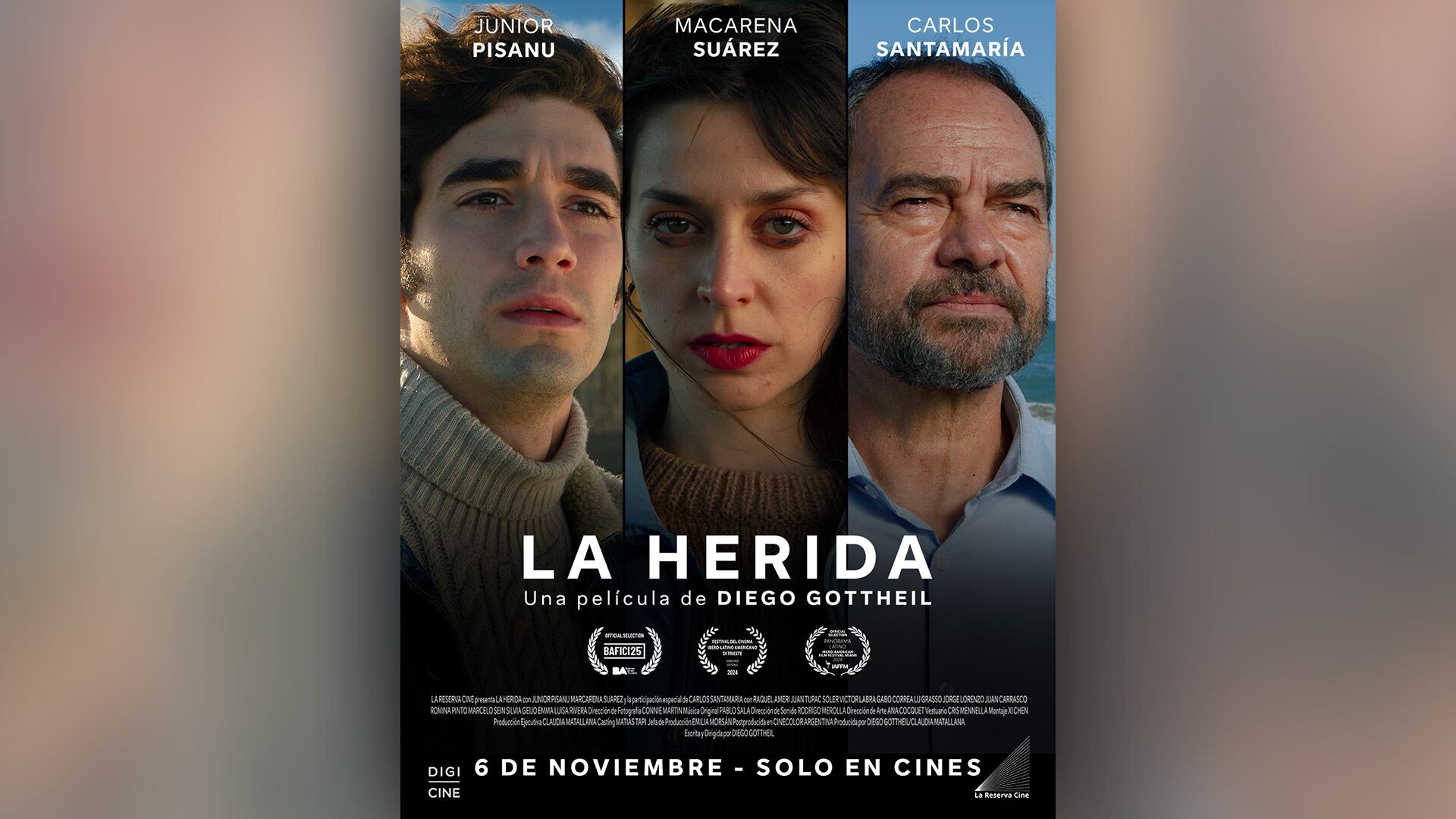 La Herida de Diego Gottheil