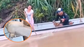 En video: pescadores capturan un