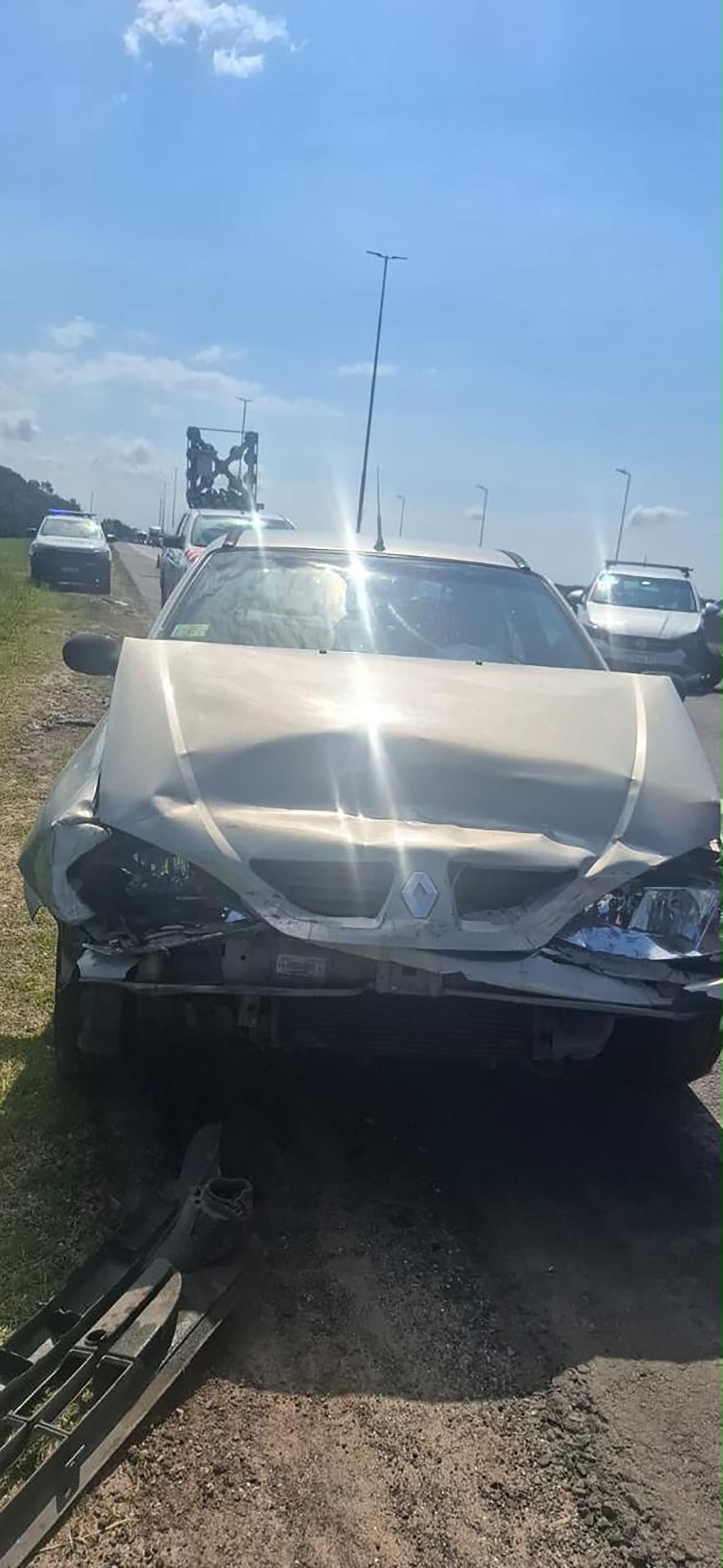 El siniestro se inició cuando un automóvil Ford Ka embistió al porcino sobre la autovía. (Fuente)