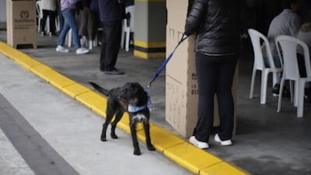 Más de 41 millones de colombianos podrán votar en las elecciones presidenciales 2026, distribuidos en 120.527 mesas en Colombia y el exterior - crédito Alcaldía de Bogotá