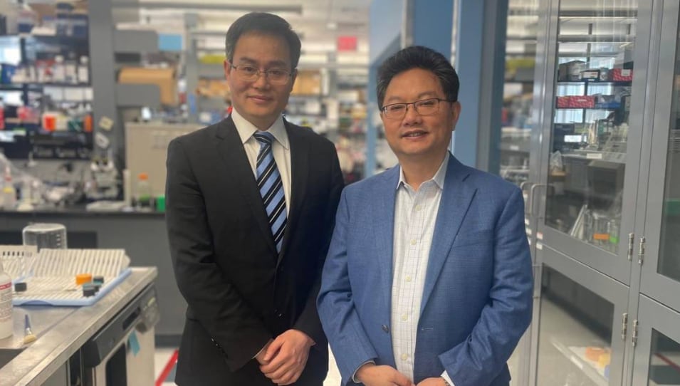 Los investigadores Yilai Shu (izquierda), de la Universidad de Fudan, y Zheng-Yi Chen (derecha), científico asociado del Mass Eye and Ear de Boston. / Mass General Brigham / EFE