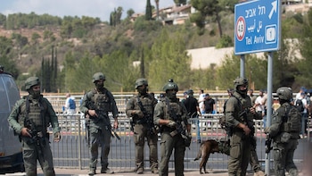 Una ONG denuncia un proyecto