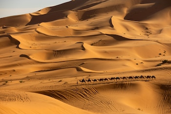 Marruecos alcanzó un crecimiento interanual