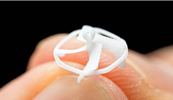 Los investigadores detrás del proyecto