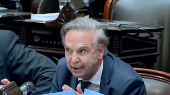 El exabrupto de Miguel Ángel Pichetto Ley Ómnibus