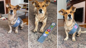 Cada insignia tiene es otorgada