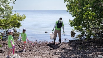 Un adulto y dos niños con camisetas verdes recogen desechos de una orilla fangosa con árboles de manglar y agua tranquila bajo un cielo azul claro