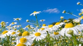 Al integrar efemérides importantes en