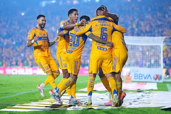 Los felinos buscarán aprovechar su