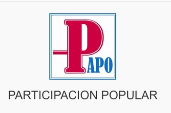 Participación Popular (Captura: JNE/Infobae)