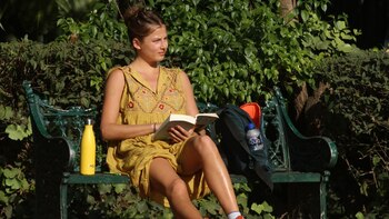 CDMX: activaron alerta amarilla por