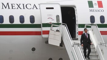 El avión fue comprado por