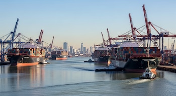 Fernández aclaró que no está