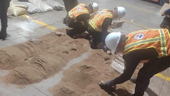 Las fuerzas de seguridad de