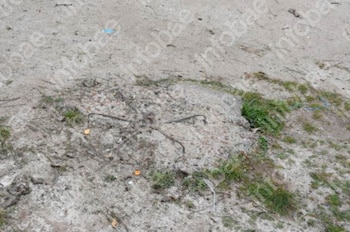 Un fragmento de concreto con varillas de hierro oxidadas, junto a tierra, piedras y pequeñas matas de pasto en un suelo irregular