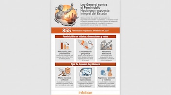 Infografía sobre la Ley General contra el Feminicidio en México. Muestra el número de feminicidios en 2024 y 2025, el mapa de México con zonas de concentración y ejes de acción de la ley.