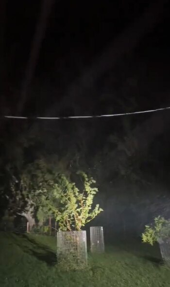 Granja, huracán Milton, animales, mascotas, evacuación, Florida, Estados Unidos