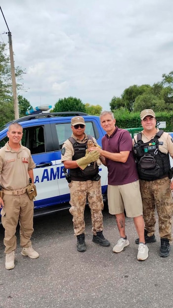 El chimango, después de ser