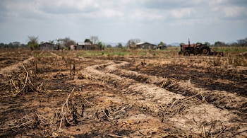 Campo agrícola reseco y agrietado con surcos vacíos, plantas marchitas, casas rurales borrosas al fondo y un tractor oxidado.